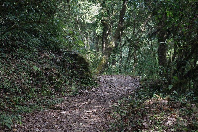 Shivapuri Day Hiking - Who Will Love This Tour?