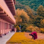 Shivapuri Peak Hike and Sleeping Buddha Sightseeing Tour - Authentic Experience and Value