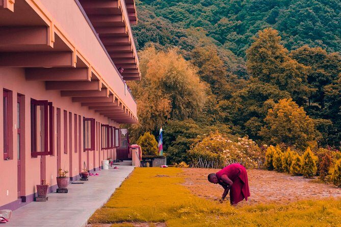 Shivapuri Peak Hike and Sleeping Buddha Sightseeing Tour - Authentic Experience and Value