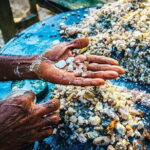 Shore Excursions Colombo Passenger Jetty -Galle & Back Group Tour - A Deep Dive into the Galle & Coastal Day Trip