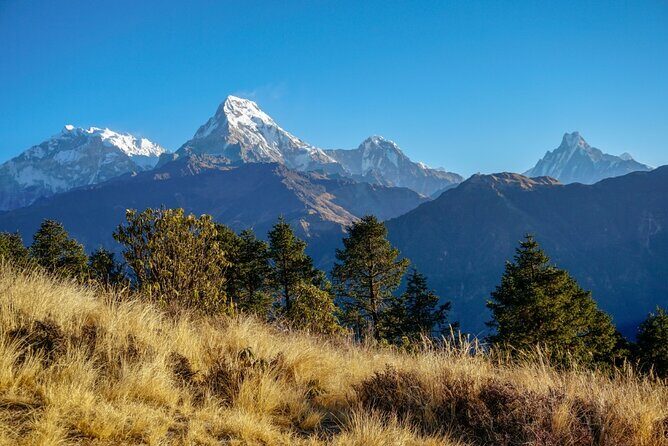 Short Ghorepani Poon Hill Trek  2 Days - The Experience Provider and Booking Details
