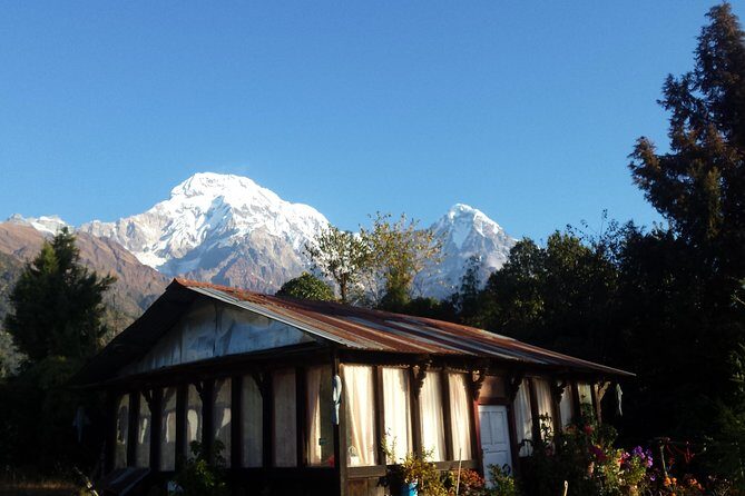 Short Trekking in Pokhara 2 Nights on mountain - Is This Tour Worth It?
