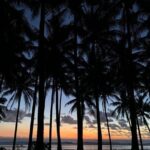 Siargao Land Tour (Shared Tour) - The Sum Up: Is This Tour Right for You?