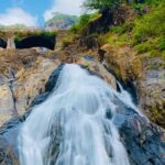 SIC Dudhsagar Waterfall and Spice Plantation Day Tour - Key Points