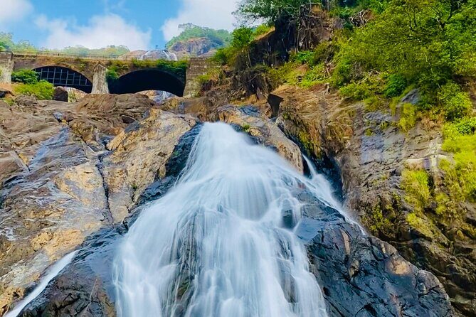 SIC Dudhsagar Waterfall and Spice Plantation Day Tour - Key Points