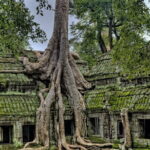 Siem Reap Angkor Wat, Bayon and Ta Prohm Temples Guided Tour - Who Is This Tour Best For?