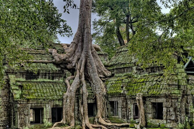 Siem Reap Angkor Wat, Bayon and Ta Prohm Temples Guided Tour - Who Is This Tour Best For?