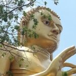 Sigiriya Expedition Uncovers Ancient Marvels - Authentic Sri Lankan Village Experience
