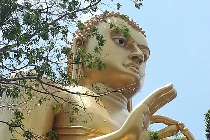 Sigiriya Expedition Uncovers Ancient Marvels - Authentic Sri Lankan Village Experience