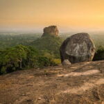 Sigiriya & Minneriya Safari Tour from Habarana - Minneriya National Park Safari: Wildlife Encounters