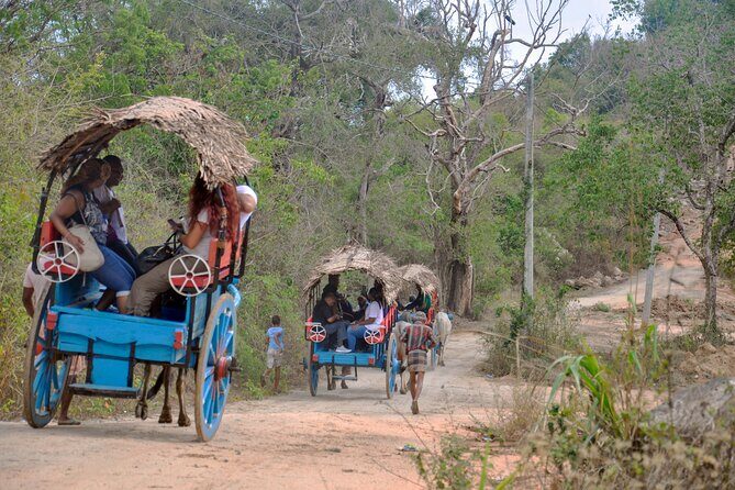 Sigiriya Rock and Countryside from Sigiriya - What Reviewers Say