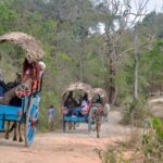 Sigiriya Rock and Village Tour from Mount Lavinia - Authenticity and Value