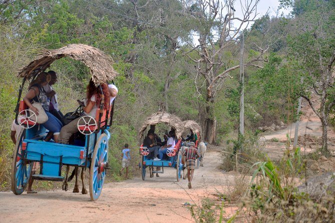 Sigiriya Rock and Village Tour from Mount Lavinia - Authenticity and Value