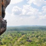 Sigiriya Rock and Village Tour from Sigiriya - Who Is This Tour Best Suited For?