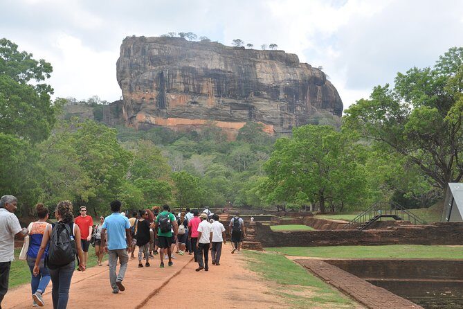 Sigiriya Rock and Wild Elephant Safari from Habarana - Practical Details and Value