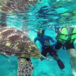 Similan Islands Full-Day Tour from Phuket (SHA Plus) - Relaxing on the Beaches and the Viewpoint
