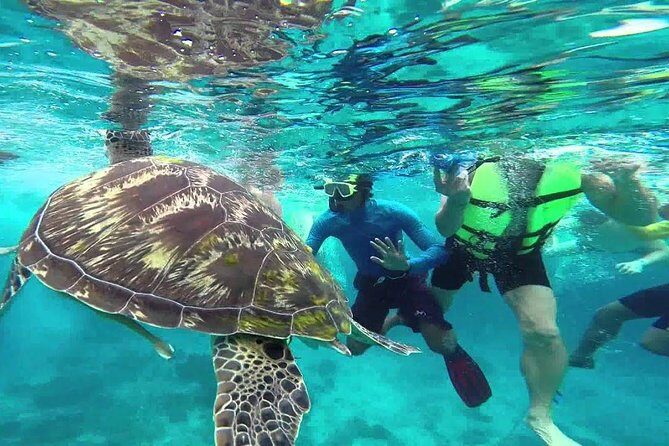 Similan Islands Full-Day Tour from Phuket (SHA Plus) - Relaxing on the Beaches and the Viewpoint