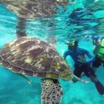 Similan Islands Full-Day Tour from Phuket with Lunch (SHA Plus) - What’s Included and What to Expect