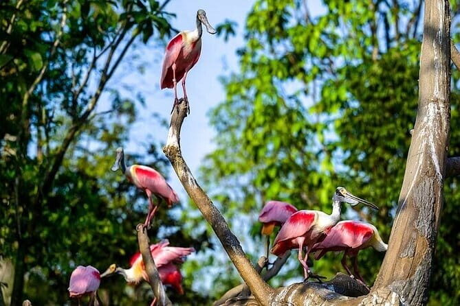 Singapore Bird Paradise E-Tickets - What Reviewers Have Said