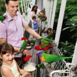 Singapore Night Safari Admission Voucher and Tram Ride Experience - The Experience from a Visitor’s Perspective