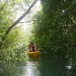 Singapore Paddle to Pedal Adventure in Pulau Ubin - What’s Included and What’s Not