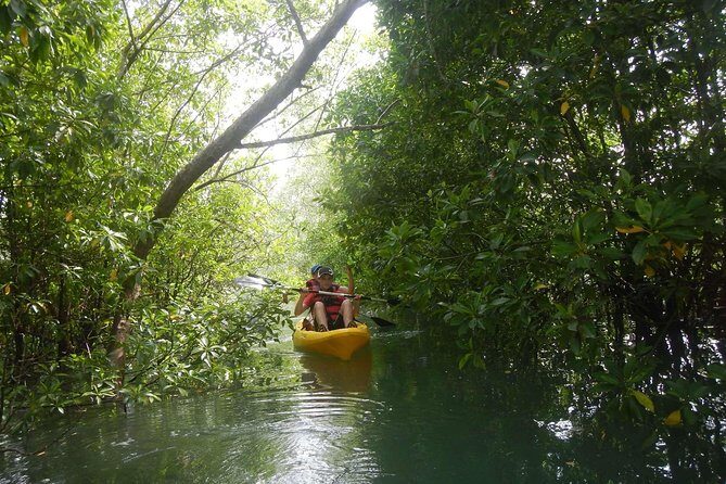Singapore Paddle to Pedal Adventure in Pulau Ubin - What’s Included and What’s Not
