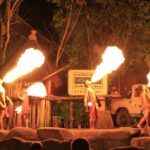 Singapore River & Night Safari-COMBO (Shared Transfer) - Is This Tour Worth It?