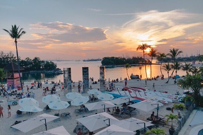 Singapore: Stand up Paddleboard - Ola Beach Club - Diving into the Details of the Paddleboarding Experience