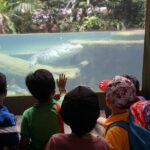 Singapore Zoo with Tram Ride Experience for Tourist - Practical Tips for Your Visit