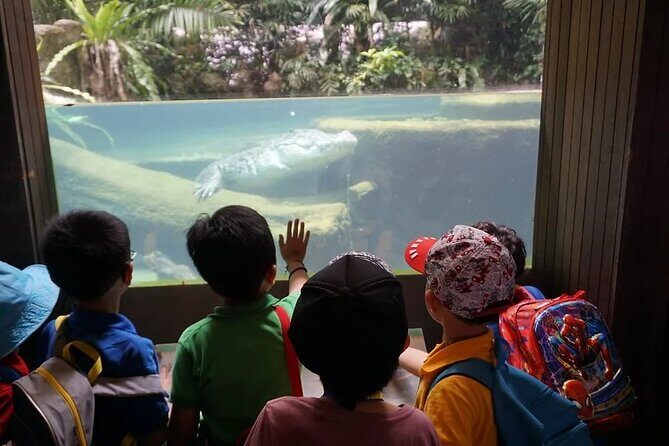 Singapore Zoo with Tram Ride Experience for Tourist - Practical Tips for Your Visit