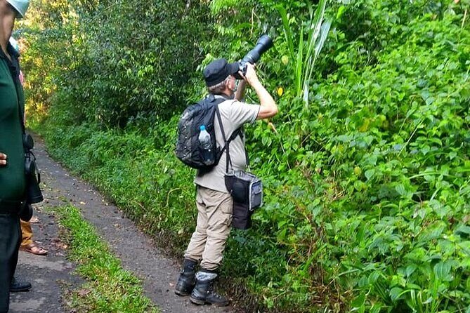 Sinharaja Rain Forest Bird Watching Guided Private Tour - Who Will Love This Tour?