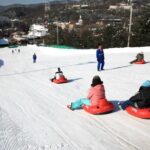 [SKI Tour] Over night tour - Daily - Is This Tour Worth It?