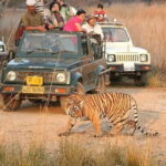 Skip-the-Line Entry for Ranthambore Gypsy Safari - Transport, Duration, and Group Size