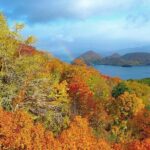 SkyExpress: Lake Toya Customised Private Day Tour (Up to 8 Passengers) - Who Should Consider This Tour?