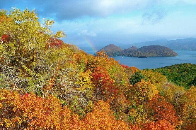SkyExpress: Lake Toya Customised Private Day Tour (Up to 8 Passengers) - Who Should Consider This Tour?