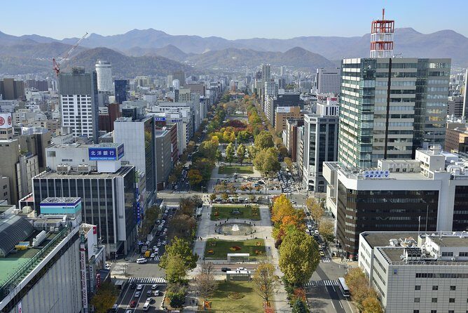SkyExpress: Sapporo Customised Private Day Tour (Up to 15 Passengers) - Final Thoughts: Who Should Consider This Tour?