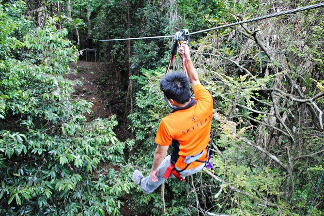 Skytrex Adventure in Langkawi (with transfers) - Who Will Love This Tour?