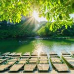 Small Group Ninh Binh Day Tour to Bai Dinh Trang An from Hanoi - The Value and Experience