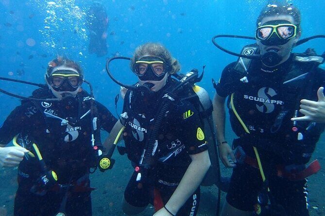 Small Group Private 3 Dives in Tulamben Best Spot - Authentic Insights from Reviews