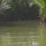 Small Group Shore Excursion to Row Basket Boat - Hoi An Ancient City - Foot Bath - The Sum Up: Who Will Love This Tour?