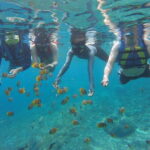Snorkeling Activity Trip at Nusa Penida - FAQs