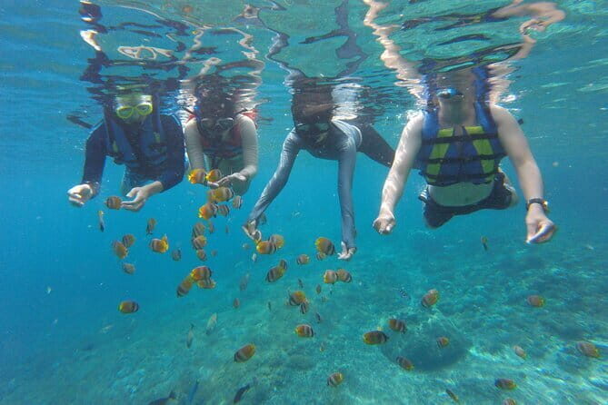 Snorkeling Activity Trip at Nusa Penida - FAQs