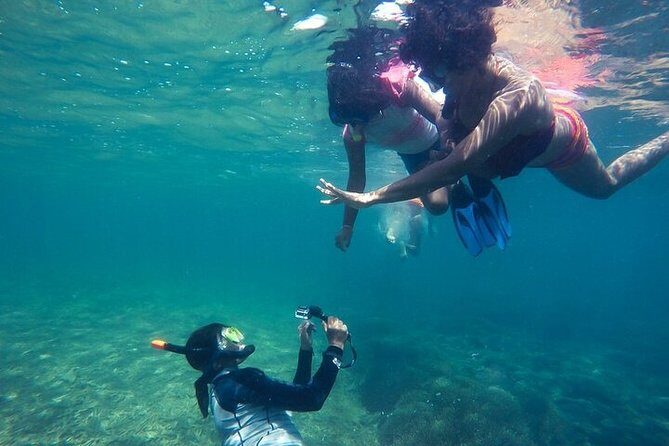 Snorkeling from Negombo - Who Will Love This Tour?