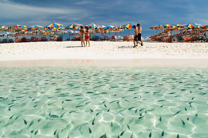 Snorkeling Tour to Coral & Maiton & Racha Island from Phuket - Maiton Private Island: Dolphins & Snorkeling