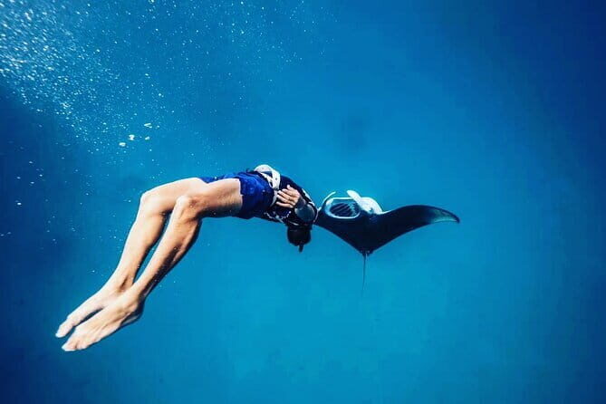 Snorkeling with Manta Rays from Maafushi - Authentic Experiences and Honest Insights from Reviewers