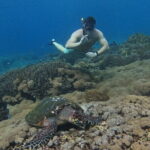Snorkeling With Manta Rays in Nusa Penida and 4 Other Spots - Second Stop: Secret Bay (30 mins)