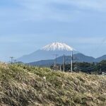 Soba Making Activity in Paddy Field Scenery of Kanagawa - Analyzing the Value