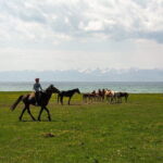 Song Kol Horse Trek Adventure - Who Will Love This Tour?