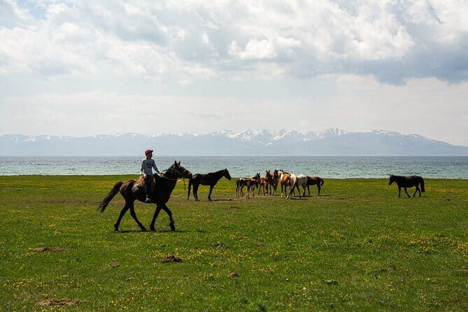 Song Kol Horse Trek Adventure - Who Will Love This Tour?