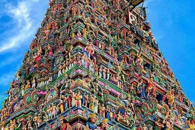 South India By Car & Driver: Tamil Nadu, Kerala and Karnataka ! - What Travelers Love About This Tour